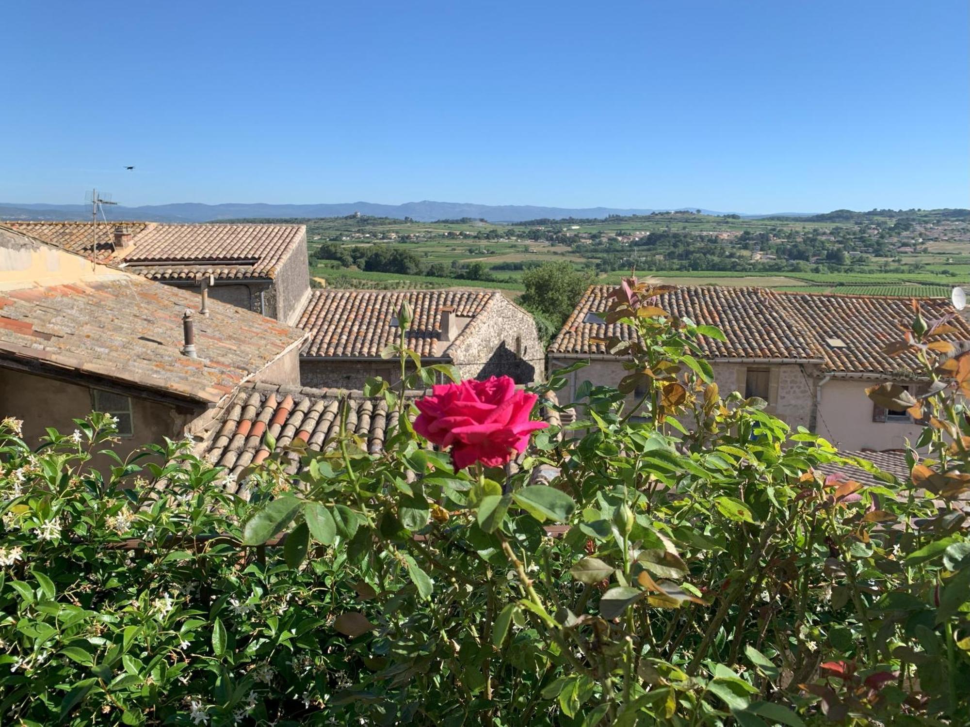 Saint-Pons-de-Mauchiens La Rose Du Vent Bed & Breakfast エクステリア 写真